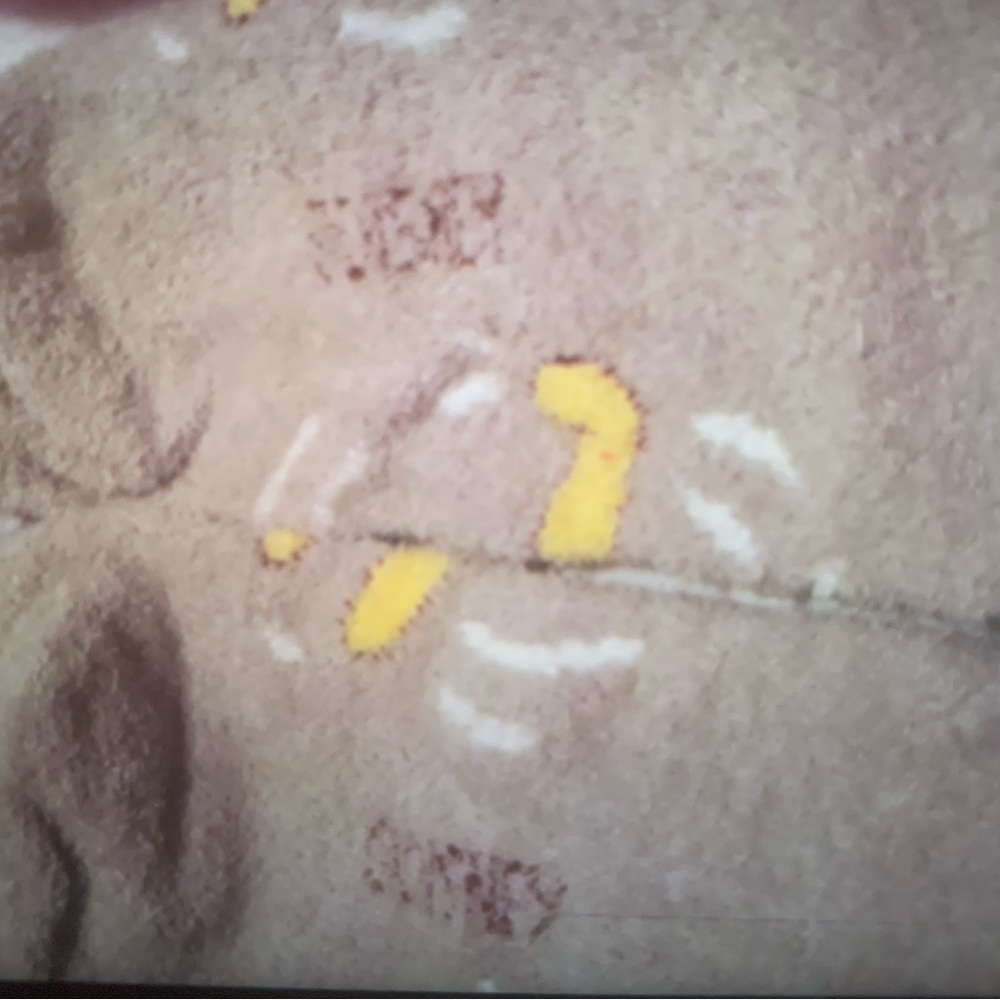 COZY Pooh Bear Fuzzy Socks Set 2 pr One Bear Design Other Snowflake NEW NWT - Picture 2 of 4